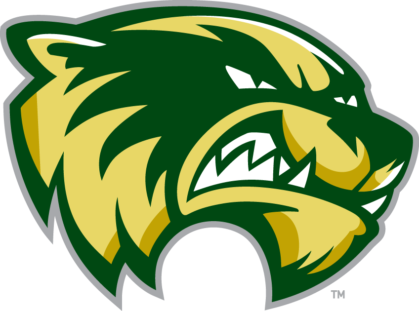 Utah Valley Wolverines 2008-Pres Alternate Logo v2 diy DTF decal sticker